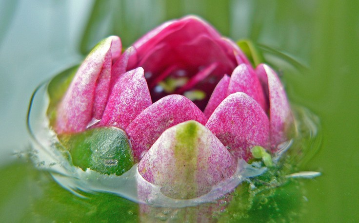 emerging-enlightenment-1540912